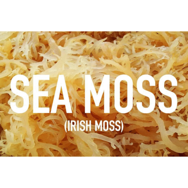 Sea Moss Wildcrafted from St. Lucia